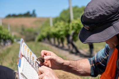 Matt Oliver from Marlborough District Council identifies soil colour during soil sampling in the Blind River area, south of Seddon.