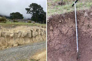 Two soil extremes