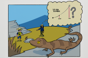 lizard infographic