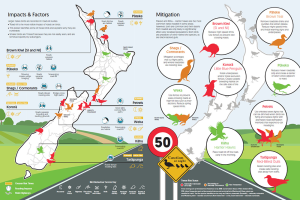 Infographic: Identification of some of the larger native birds recorded as road kill.