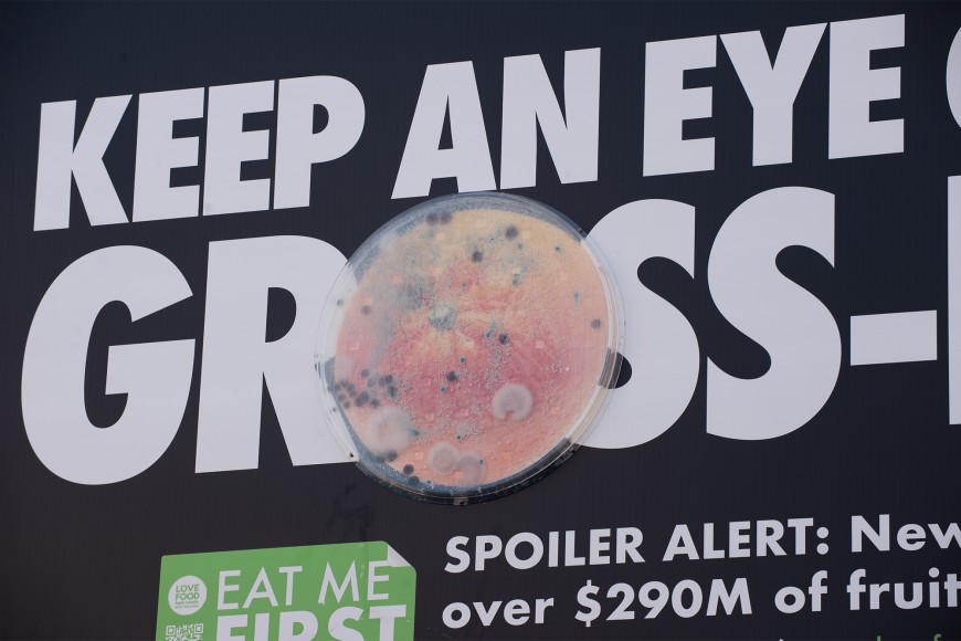 The agar plate on the Love Food Hate Waste campaign billboard. The agar plate on the Love Food Hate Waste campaign billboard.