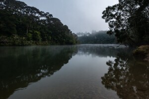 kaitiakitanga responsibilities