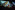 Nightly projections of marine invertebrates filemd by Dr Joyce Yager Image