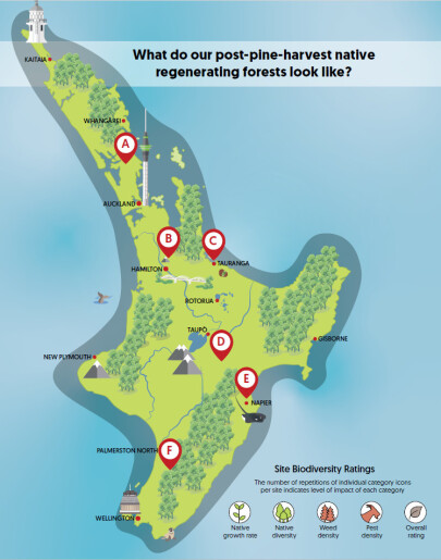 An interactive online map: Post-pine-harvest native regenerating forest