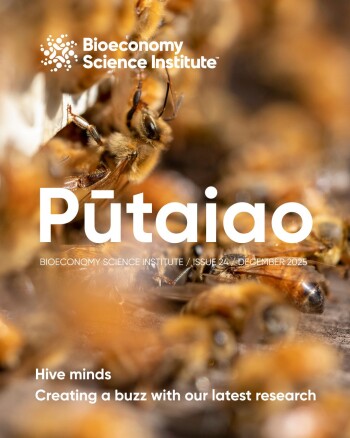 Pūtaiao 24: Hive minds: Creating a buzz about our latest research.