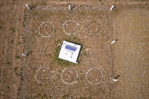 Aerial photographs of lysimeters planted with lucerne under non-irrigated conditions