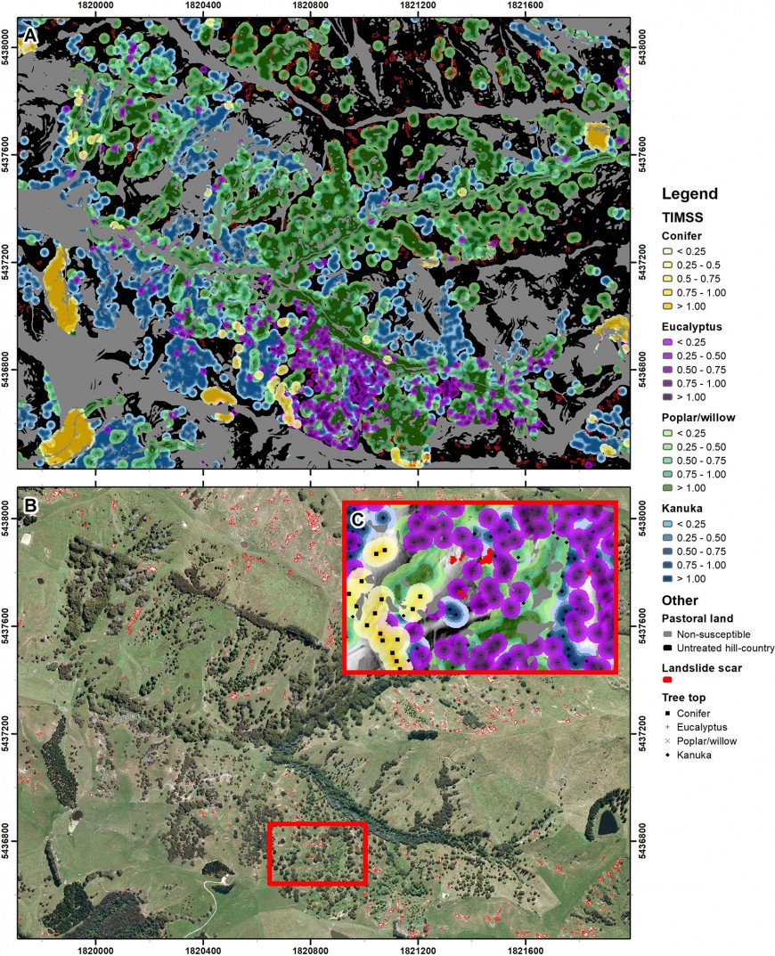 Fig. 2. A: Tree influence models on slope stability for the four genera: conifer, eucalyptus, poplar/willow and kānuka; non-susceptible pastoral land (defined by slope threshold of 17.5°); and untreated pastoral hill country. B: Regional multispectral orthophotos (2010) showing land-slide scars mapped in imagery. Red frame in B shows the extent of Insert C.