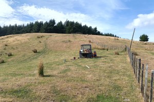 Tinui landscape