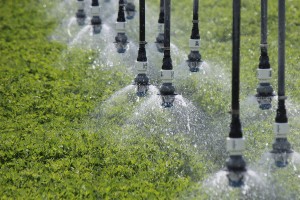 Irrigation