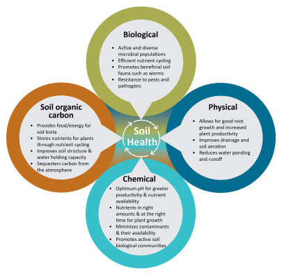 Figure 1. The components of a healthy soil and the benefits they provide. All four components interact to create a healthy soil.