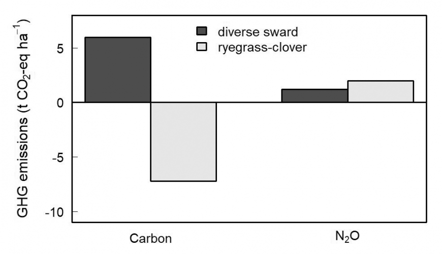 Figure: Cumulative carbon losses and nitrous oxide emissions (in CO2 equivalents) of a diverse sward and a traditional ryegrass-clover over the 2-year study period at the Ashley Dene Research &amp;amp;amp;amp;amp;amp;amp;amp;amp;amp;amp;amp;amp;amp;amp;amp;amp; Development Station. Negative values indicate net uptake (carbon gain), while positive values indicate net greenhouse gas emissions.