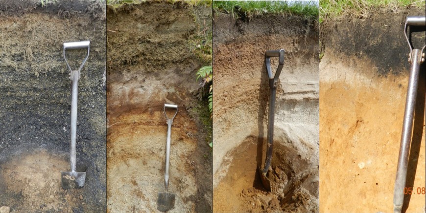 Figure 3. Soils found in the mapping area from left to right: (i) Typic Tephric Recent Soil developed in deep Tarawera tephra; (ii) Buried-pumice Tephric Recent Soil with Tarawera tephra over Kaharoa tephra; (iii) Buried-allophanic Orthic Pumice Soil with Kaharoa tephra over Whakatane tephra; and (iv) Vitric Orthic Allophanic Soil developed in Whakatane tephra with shallow Kaharoa tephra to just below the topsoil. The boundary between these last 2 soils will define the boundary of the new DSM map in the northern extent of the survey area.