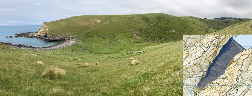 Figure 2. One of the smaller bays, with poorly drained fluvial soils due to the ponding of the stream behind the beach wall. Some larger bays, such as Okains Bay (inset), show evidence of relict sand dunes, visible as subtle sequences of ridges running across the valley floor (yellow = high elevations, blue = low elevations), some of which are now at a considerable distance from the current beach. 