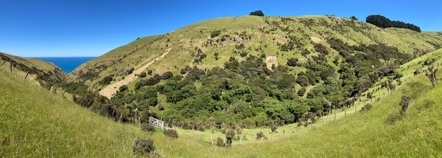 Figure 3. A wide-angle view of a side slope, exemplifying the variability of soils and high geomorphic activity in Banks Peninsula. Note the alternation of rock outcrops and deeper loess cover (the yellowish-brown material as revealed by the slips) across the slope, despite similar shape and steepness of the slope.