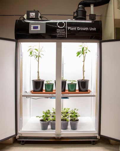 Figure 1. A view of the customised plant growth unit. (Photo: Adele Rycroft, Ray Deflector Photography, 2022)