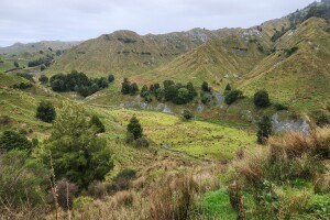 S-map expands in Taranaki