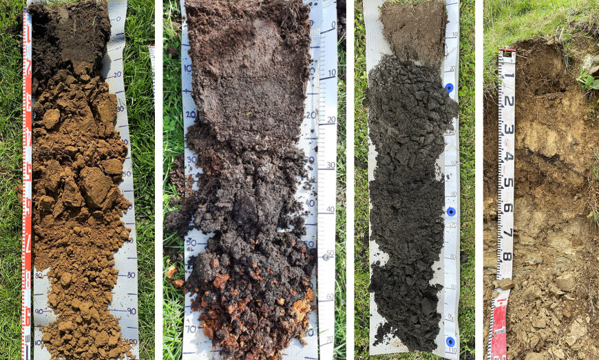 Figure 4. Selected soil profiles. From left to right: deep loamy airfall tephra on a high terrace of the lower Waingongoro River; ash-capped fibrous peat on the fringes of Eltham Swamp; deep black sands on low dunes near Pihama; and thin airfall tephra grading back into weathered siltstone in the middle Waitara catchment hills. Figure 4. Selected soil profiles. From left to right: deep loamy airfall tephra on a high terrace of the lower Waingongoro River; ash-capped fibrous peat on the fringes of Eltham Swamp; deep black sands on low dunes near Pihama; and thin airfall tephra grading back into weathered siltstone in the middle Waitara catchment hills.