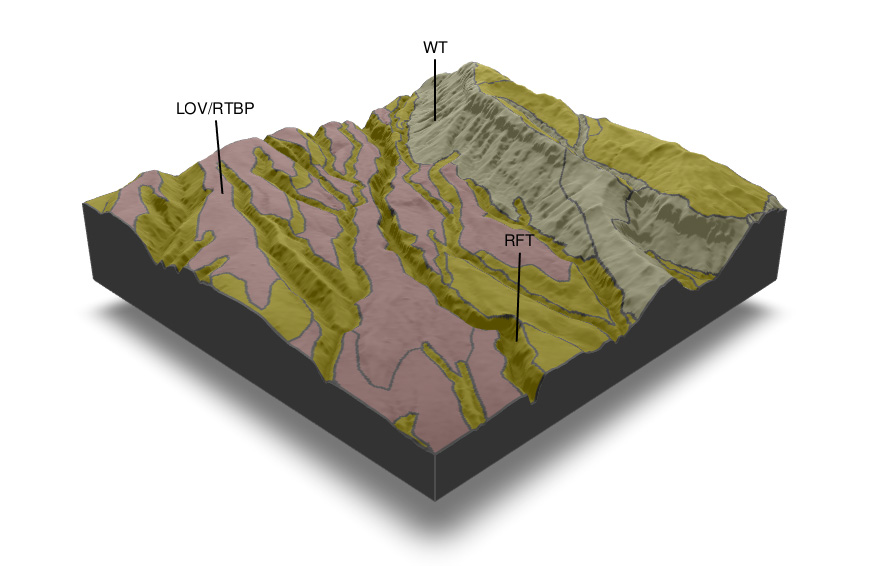Figure 3. A block diagram showing the soil pattern of an area around the Upper Waingongoro River, looking upstream to the northwest. The Waingongoro Hut is roughly in the middle of the 1 × 1 km block. Figure 3. A block diagram showing the soil pattern of an area around the Upper Waingongoro River, looking upstream to the northwest. The Waingongoro Hut is roughly in the middle of the 1 × 1 km block.