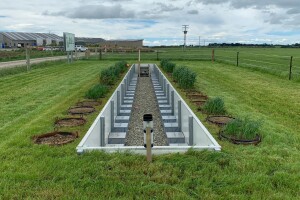 A catch crop trial in the soil monolith lysimeter facility at the Southern Dairy Hub, Southland, November 2021.