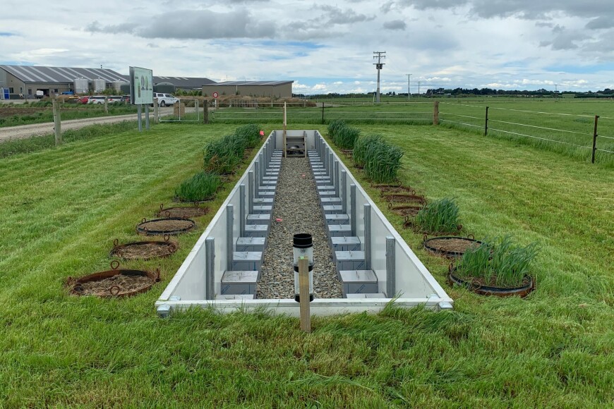 Figure 1. A catch crop trial in the soil monolith lysimeter facility at the Southern Dairy Hub, Southland, November 2021. Figure 1. A catch crop trial in the soil monolith lysimeter facility at the Southern Dairy Hub, Southland, November 2021.