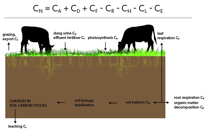 Fig.1 Components of the carbon balance for a crop grazed by cattle. The annual net carbon balance, CN, is the sum of the components of inputs minus losses of carbon. The components CP, CR and CH, comprise respiration losses (adapted from Whitehead et al 2018).