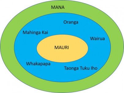 Fig 3. Diagram showing the relationship between the core values and principles for soil health.