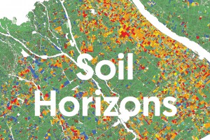 Soil Horizons T