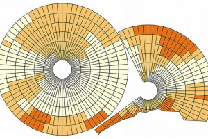 Figure 1 Three management zones overlaid by the pivot irrigator footprint. Bright orange represents poorly drained soil in management zone 3.