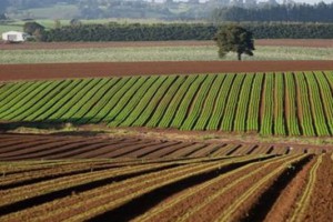 agricultura land at risk