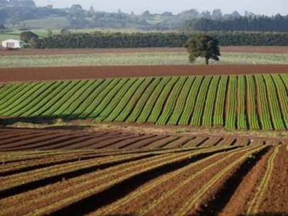 Land at risk of being lost to urban development.