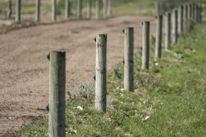 fence posts