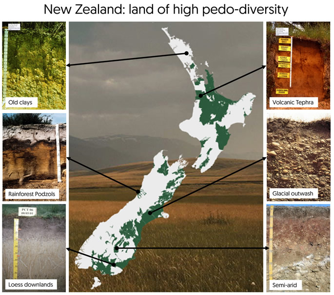 Figure 1 New Zealand is renowned internationally for its high diversity of soil types.