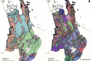 soilscapes Waikato Region