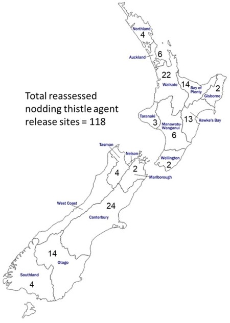 Distribution of nodding thistle sites for assessment
