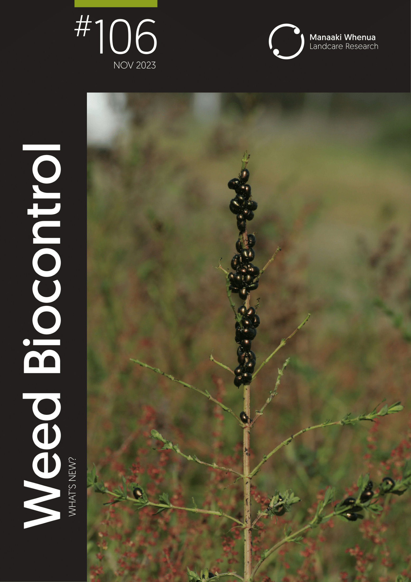 Download Weeds Biocontrol – What's New? Issue 106