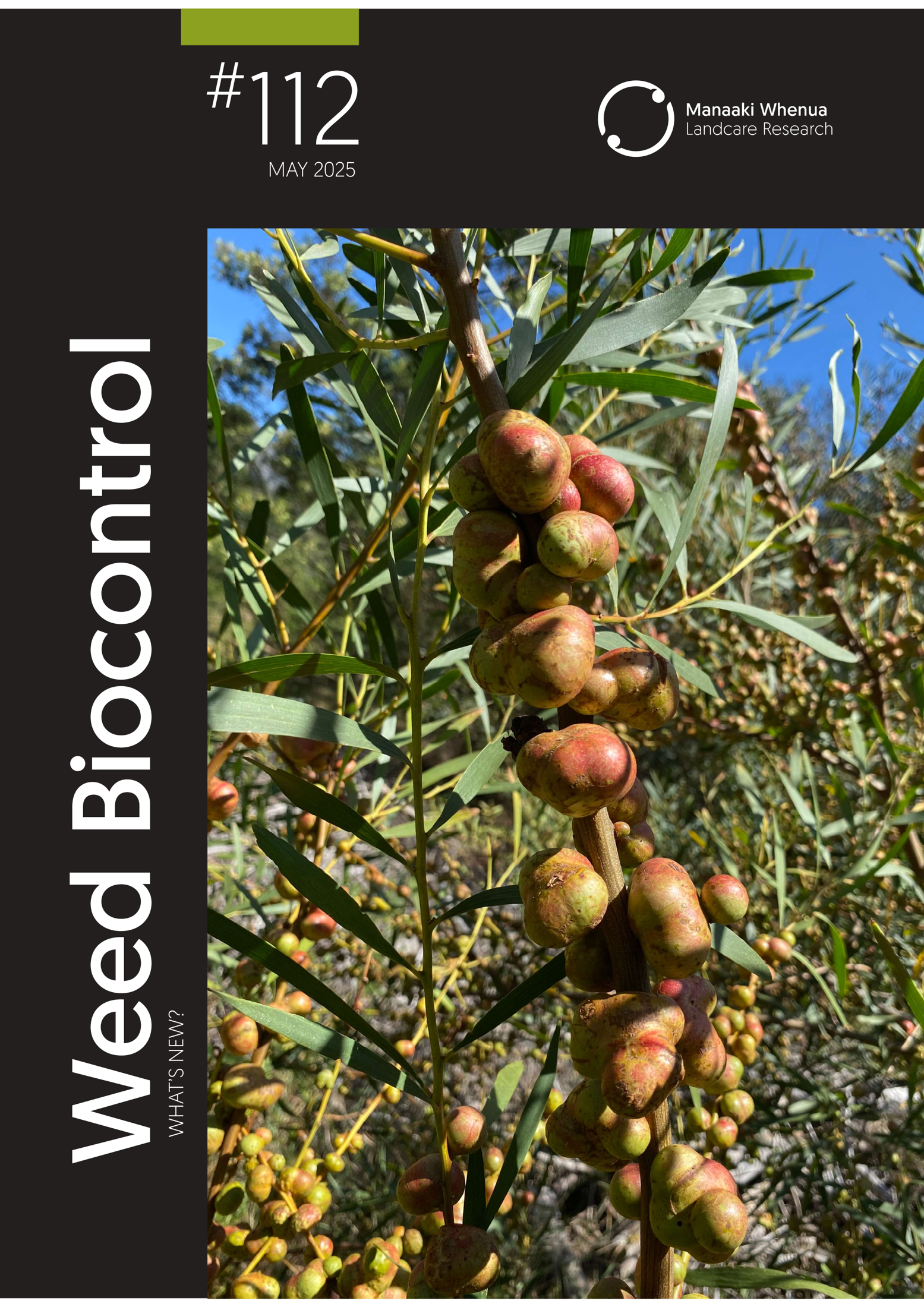 Download Weeds Biocontrol – What's New? Issue 112