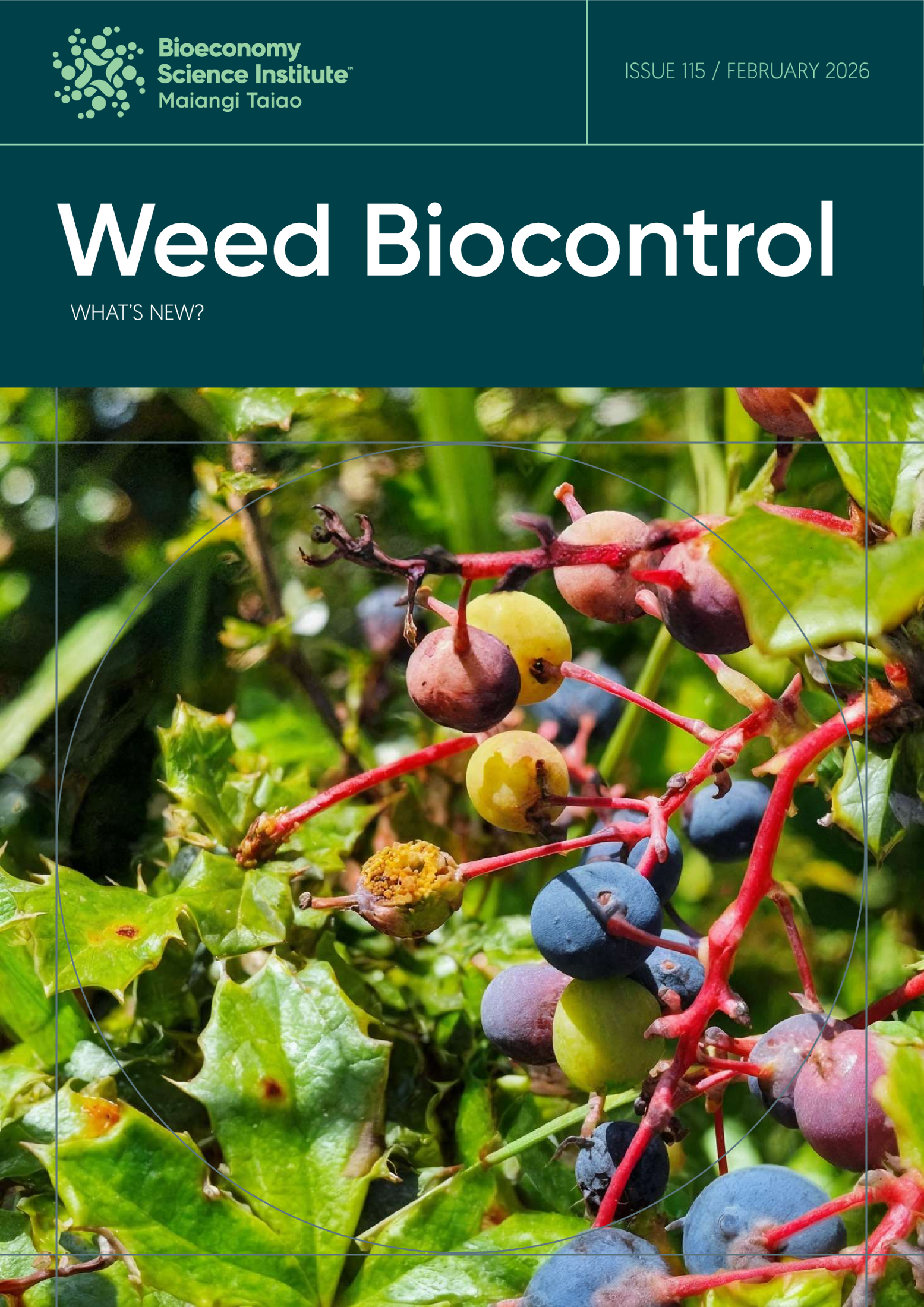 Download Weeds Biocontrol &ndash; What's New? Issue 115