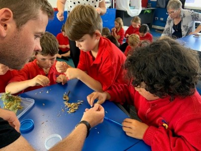 Arnaud helping with gorse seed pods