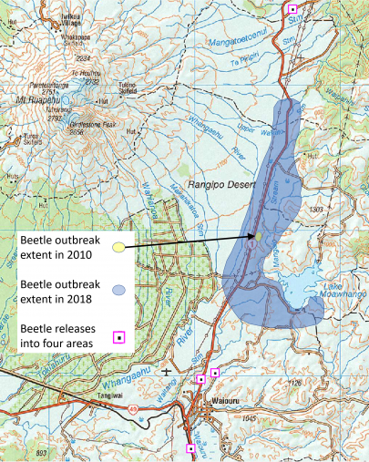 Experimental beetle releases in 2018