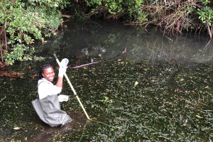 Nompumelelo sampling at King Edward Park, Stratford