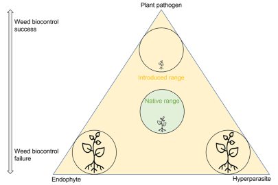 Interactions between plant pathogens and fungal antagonists