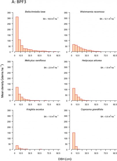 A: BPF3. Size structure of canopy dominants. A: BPF3. Size structure of canopy dominants.