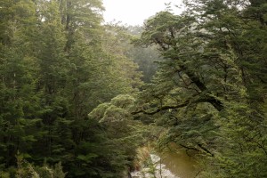 Over looking the Waiau River from the Kepler Track. Image: Bradley White