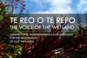 Te reo o te repo – the Voice of the Wetland