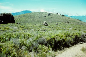 Attempt Hill, D'Urville Island