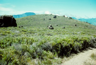 Attempt Hill, D'Urville Island