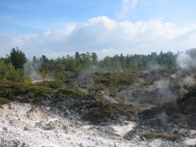Fumaroles near Lake Rotokawa, north of Taupo, with prostrate kanuka ([Kunzea ericoides] var. [microflora]) scrub (middle distance) and wilding pines (background) (Bruce Burns)