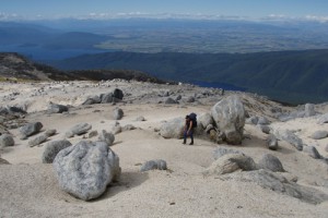 Granite gravel field, Mt Titiroa, eastern Fiordland (Peter Williams)