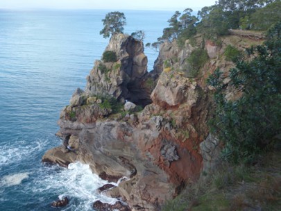 Basic rocks forming the cliffs of Moutohora (Whale Island), Bay of Plenty (Rowan Buxton)