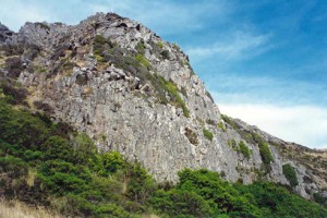 Outcrop on Mt Herbert, Banks Peninsula, Canterbury, with vegetation comprising stunted shrubs, grasses and herbs (Susan Wiser)